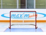 Имитатор - хоккейные ворота Т-770 - магазин СпортДоставка. Спортивные товары интернет магазин в Орске 